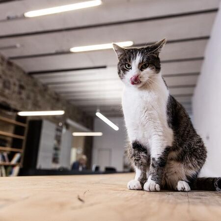 Archicult – Breunig Architekten Würzburg, Deutschland